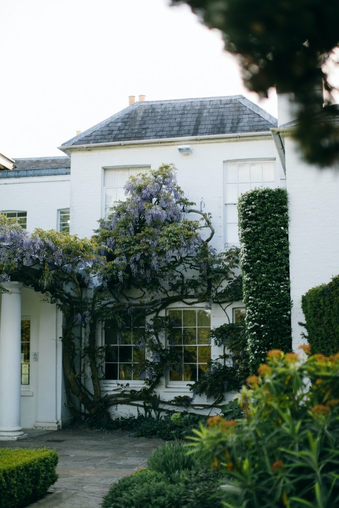 beautiful white house with greenery and vines