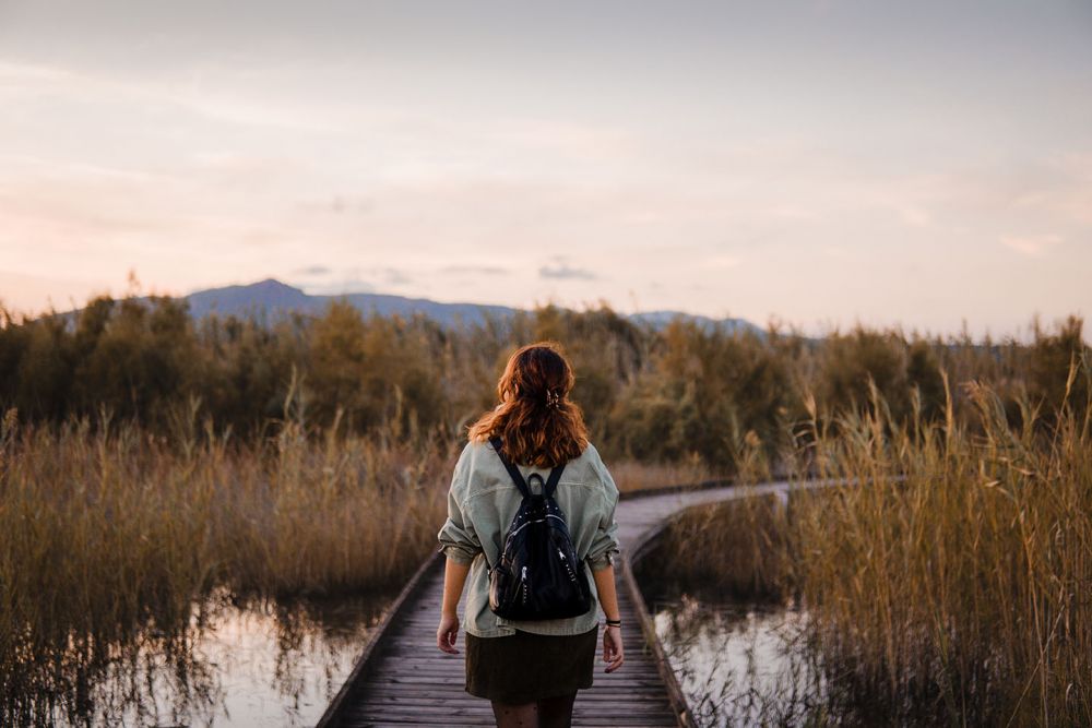 a boardwalk guides a hiker on her path