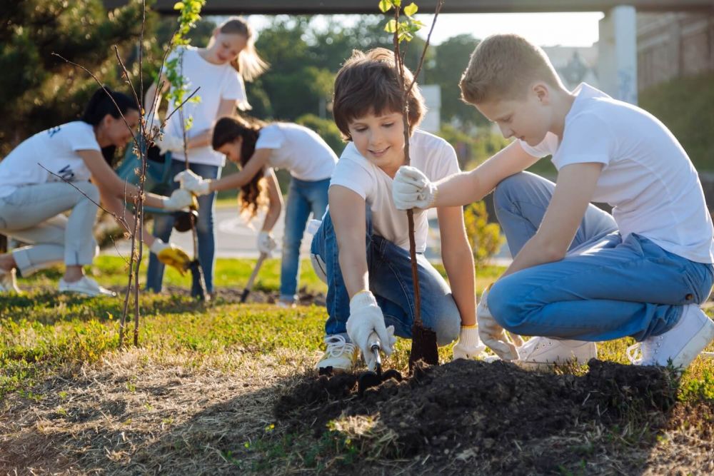 people planting trees